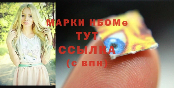дживик Богородицк