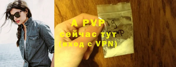 метадон Богданович